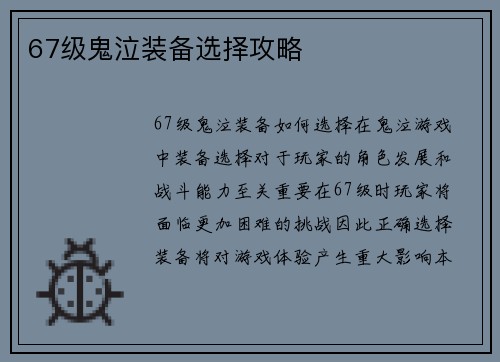 67级鬼泣装备选择攻略