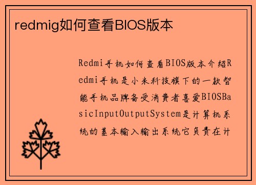 redmig如何查看BIOS版本