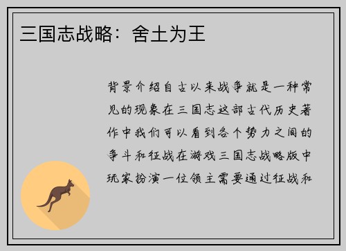 三国志战略：舍土为王