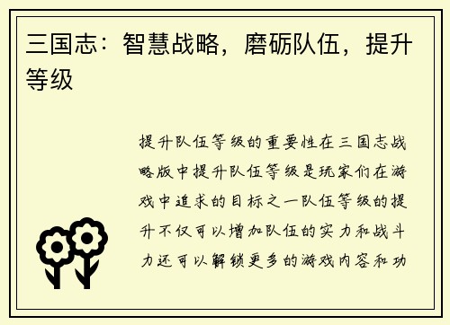 三国志：智慧战略，磨砺队伍，提升等级