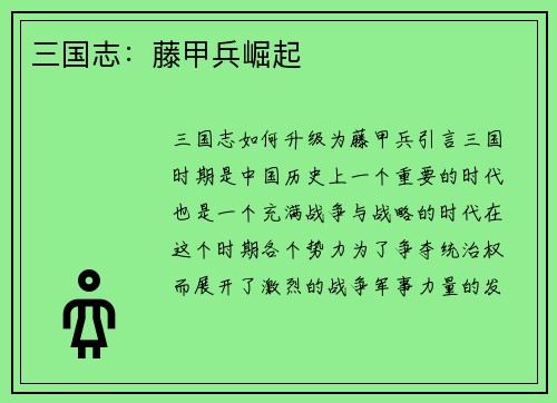 三国志：藤甲兵崛起